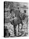 Funeral Wreaths for Evita Peron Cover Street Beneath Statue of Julio Argentino Roca-Alfred Eisenstaedt-Premier Image Canvas