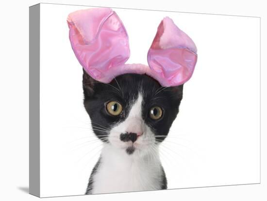 Funny Black and White Kitten Wearing Pink Easter Bunny Ears-Hannamariah-Premier Image Canvas