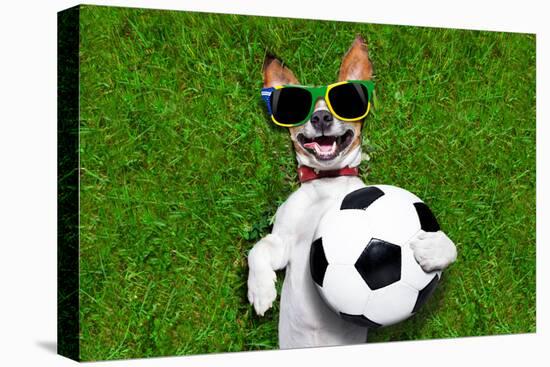 Funny Brazil Soccer Dog-Javier Brosch-Premier Image Canvas