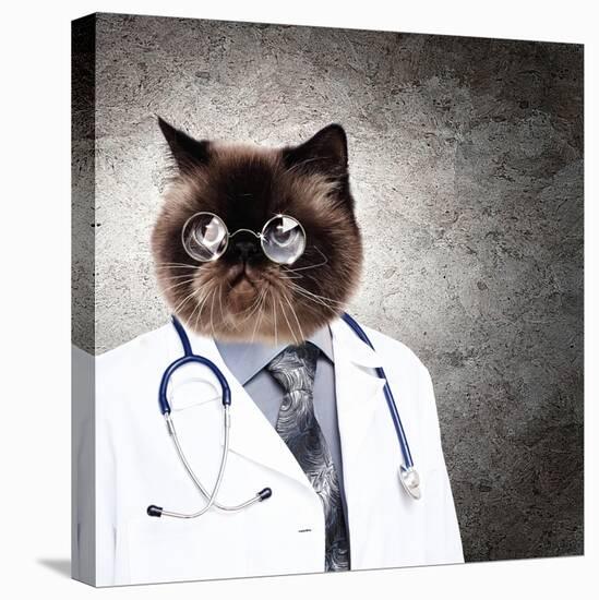 Funny Fluffy Cat Doctor In A Robe And Glasses. Collage-Sergey Nivens-Premier Image Canvas