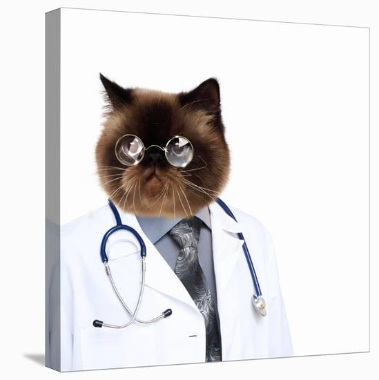 Funny Fluffy Cat Doctor in a Robe and Glasses. Collage-Sergey Nivens-Premier Image Canvas