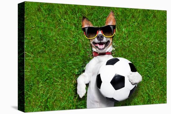 Funny German Soccer Dog-Javier Brosch-Premier Image Canvas