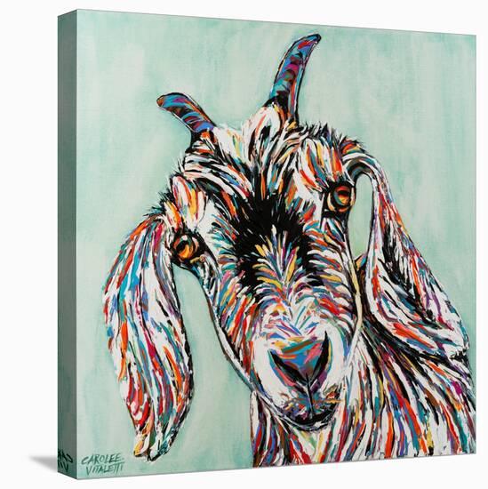 Funny Goat II-Carolee Vitaletti-Stretched Canvas
