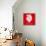 Funny Sheep on Bright Red Background 1-mamaluk-Stretched Canvas displayed on a wall