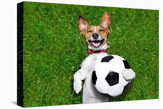 Funny Soccer Dog-Javier Brosch-Premier Image Canvas