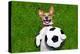 Funny Soccer Dog-Javier Brosch-Premier Image Canvas