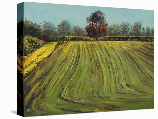 Furrows, 2008, (Oil on Canvas)-Helen White-Premier Image Canvas