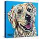 Furry Dog Friend I-Carolee Vitaletti-Stretched Canvas