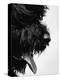 Furry Dog Panting-Henry Horenstein-Premier Image Canvas