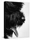 Furry Dog Panting-Henry Horenstein-Premier Image Canvas