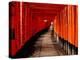 Fushimi-Inari Taisha "Torii Tunnels," Japan-Frank Carter-Premier Image Canvas