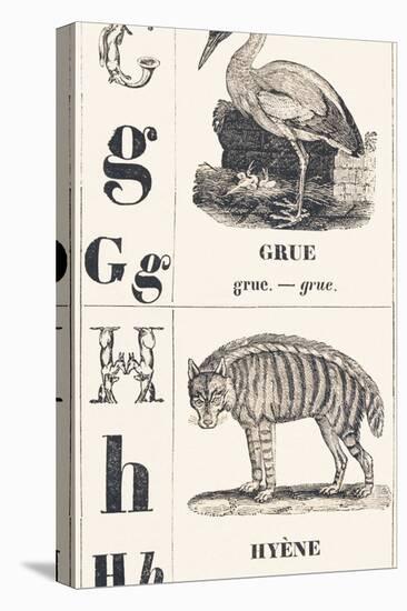 G H: Crane - Hyena, 1850 (Engraving)-Louis Simon (1810-1870) Lassalle-Premier Image Canvas