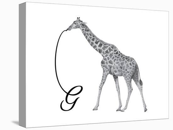 G is for Giraffe-Stacy Hsu-Stretched Canvas