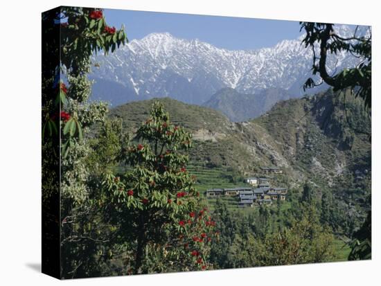 Gaddi Village, Dhaula Dhar Range, Western Himalayas, India, Asia-David Poole-Premier Image Canvas
