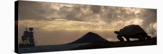 Galapagos Giant Tortoise And Sail Ship-Paul Stewart-Premier Image Canvas