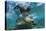 Galapagos Sea Lion Underwater, Galapagos, Ecuador-Pete Oxford-Premier Image Canvas