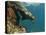 Galapagos Sealion, Gardner Bay, Española Island, Galapagos Islands, Ecuador-Pete Oxford-Premier Image Canvas