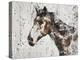 Galaxy Horse II-Irena Orlov-Stretched Canvas