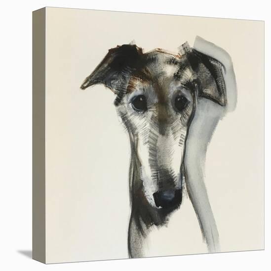 Galgo Espanol-Sally Muir-Premier Image Canvas