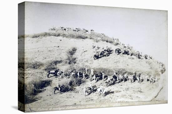 Galleano's Battery of Mountain Artillery from Part of Special Corps of Africa-null-Premier Image Canvas