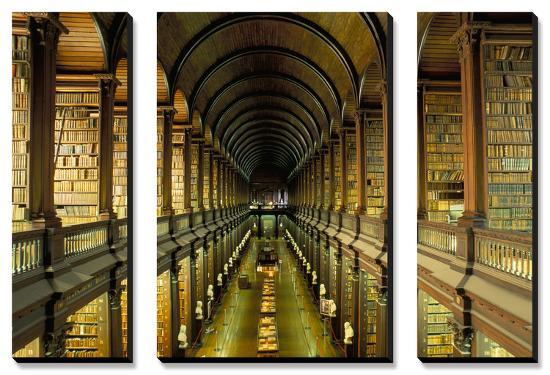 Gallery of the Old Library, Trinity College, Dublin, County Dublin, Eire (Ireland)-Bruno Barbier-Stretched Canvas