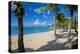 Galley Bay and Beach, St. Johns, Antigua, Leeward Islands, West Indies, Caribbean, Central America-Frank Fell-Premier Image Canvas