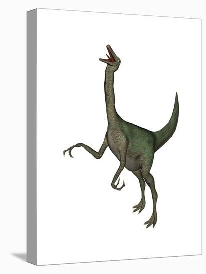 Gallimimus Dinosaur Roaring-Stocktrek Images-Stretched Canvas