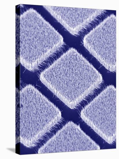 Gallium Nitride Nanowires, SEM-Peidong Yang-Premier Image Canvas