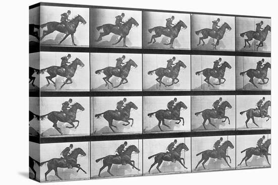 Galloping Horse, Plate 628 from Animal Locomotion, 1887-Eadweard Muybridge-Premier Image Canvas