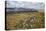 Galloway Hills from Rhinns of Kells, Dumfries and Galloway, Scotland, United Kingdom, Europe-Gary Cook-Premier Image Canvas