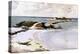 Gallows Island-Winslow Homer-Premier Image Canvas