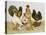 Game Birds-Pat Scott-Premier Image Canvas