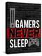 Gamers Never Sleep-Kimberly Allen-Stretched Canvas