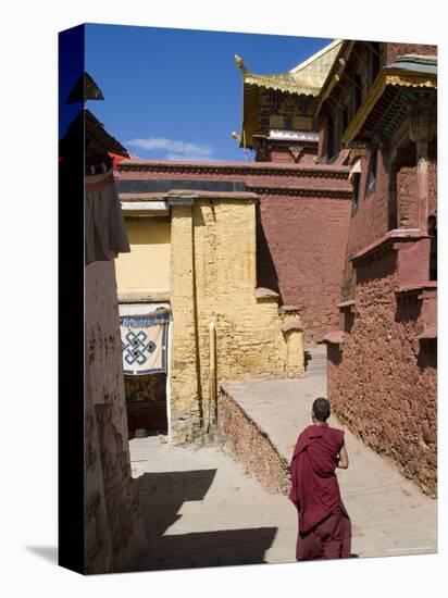 Ganden Monastery, Near Lhasa, Tibet, China-Ethel Davies-Premier Image Canvas