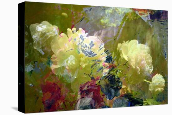 Garden Abstract-Michelle Calkins-Stretched Canvas