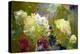 Garden Abstract-Michelle Calkins-Stretched Canvas