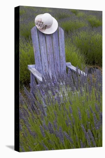 Garden, Adirondack Chair and Straw Hat, Lavender Festival, Sequim, Washington, USA-Merrill Images-Premier Image Canvas