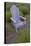 Garden, Adirondack Chair and Straw Hat, Lavender Festival, Sequim, Washington, USA-Merrill Images-Premier Image Canvas