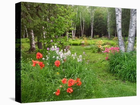 Garden and Forest in New Brunswick, Canada-Ellen Anon-Premier Image Canvas