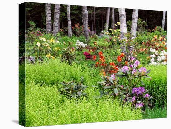 Garden and Forest in New Brunswick, Canada-Ellen Anon-Premier Image Canvas