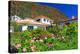 Garden and Holiday Homes in Jardim do Mar, Madeira Island, Portugal-null-Stretched Canvas