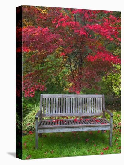 Garden Bench and Japanese Maple Tree, Steamboat Inn, Oregon, USA-Jaynes Gallery-Premier Image Canvas