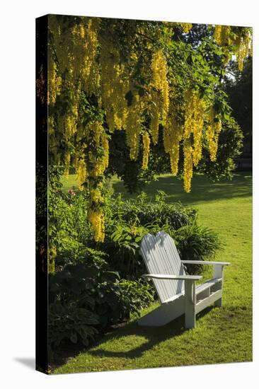 Garden Bench, Schreiner's Iris Gardens, Keizer, Oregon, USA-Rick A. Brown-Premier Image Canvas