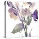 Garden Blooms II-Samuel Dixon-Stretched Canvas
