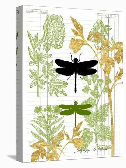 Garden Botanicals & Dragonflies-Devon Ross-Stretched Canvas