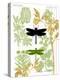 Garden Botanicals & Dragonflies-Devon Ross-Stretched Canvas