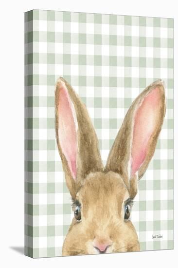 Garden Bunnies VII Green-Leslie Trimbach-Stretched Canvas