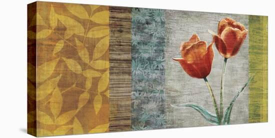 Garden Collection II-Tandi Venter-Stretched Canvas