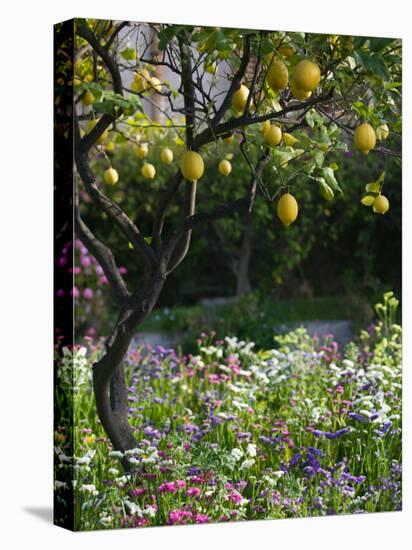 Garden Detail, San Domenico Palace Hotel, Taormina, Sicily, Italy-Walter Bibikow-Premier Image Canvas