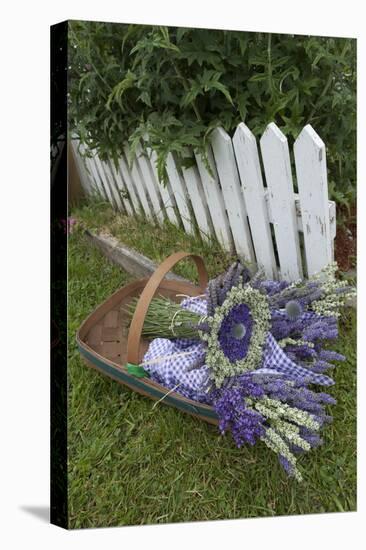 Garden, Dried Lavender at Lavender Festival, Sequim, Washington, USA-Merrill Images-Premier Image Canvas